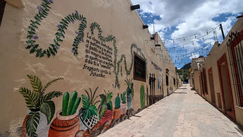 LA MIRADA_PEÑAMILLER 4